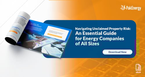Pakenergy-navigating-UP-risks-eBook-july2025-EH