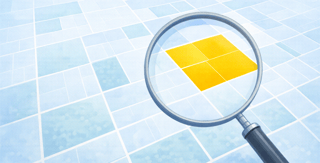 Magnifying ownership details on a land map