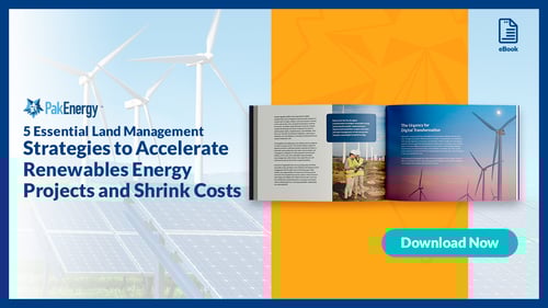 Strategies to Accelerate Renewables Energy Projects & Shrink Costs