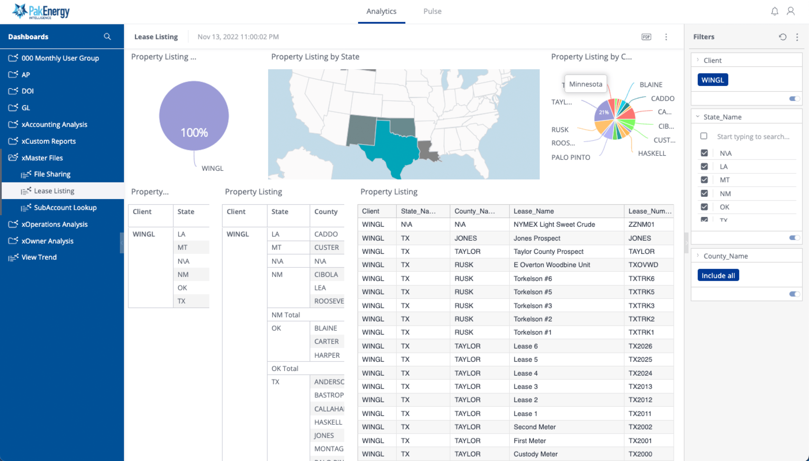 Pak Intelligence - Lease Dashboard-1
