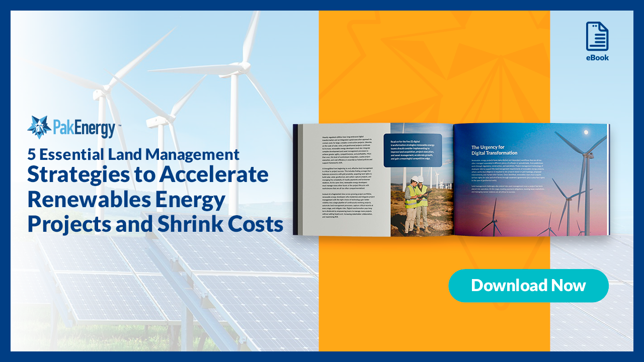 Strategies to Accelerate Renewables Energy Projects and Shrink Costs