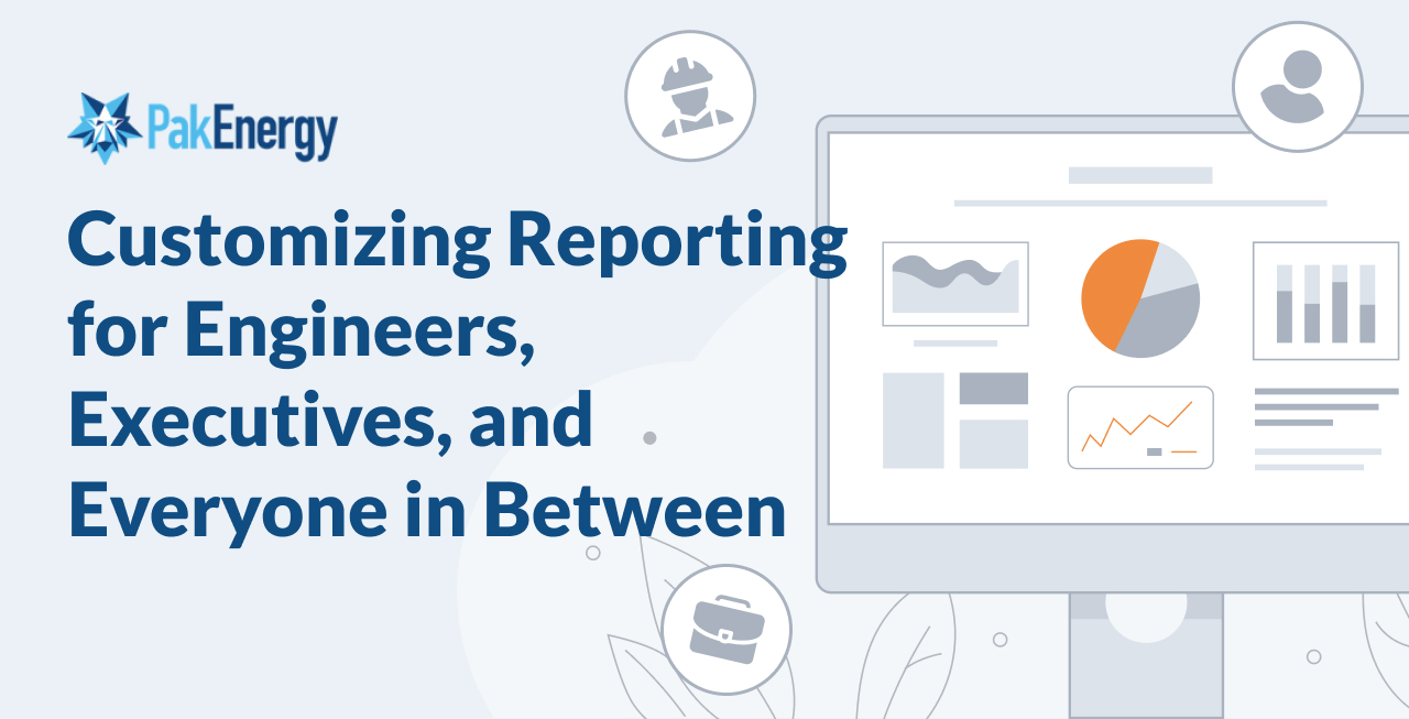 Customizing Reporting for Engineers, Executives, and Everyone in Between