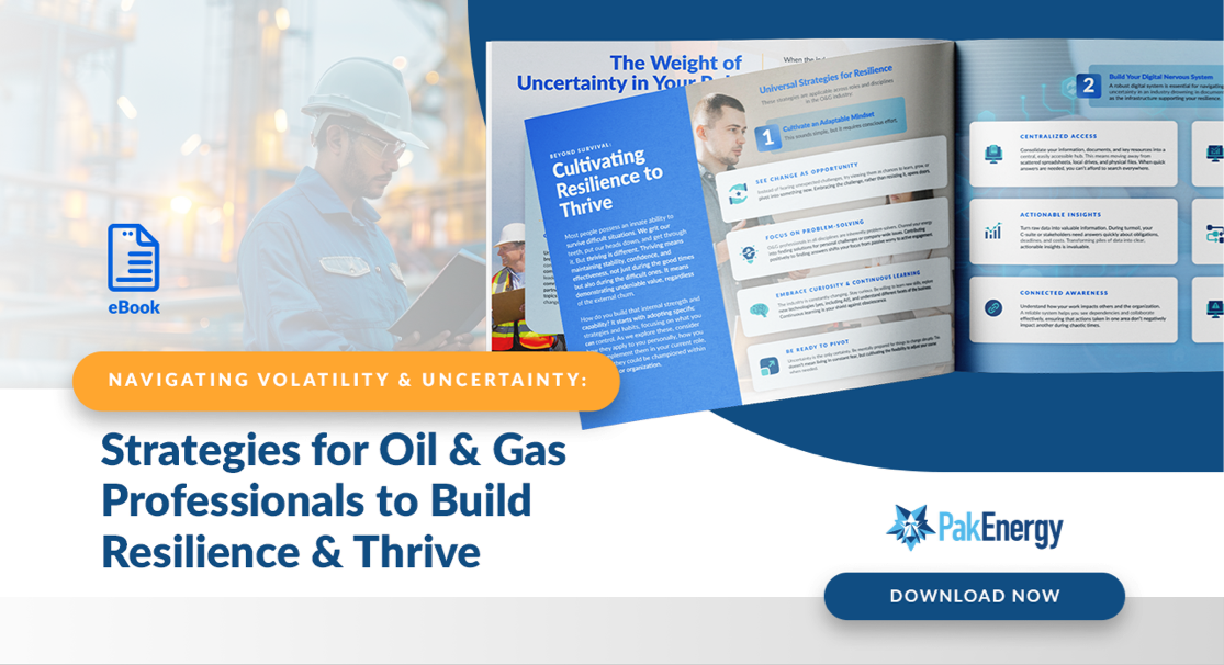 Strategies for Oil & Gas Professionals to Build Resilience & Thrive